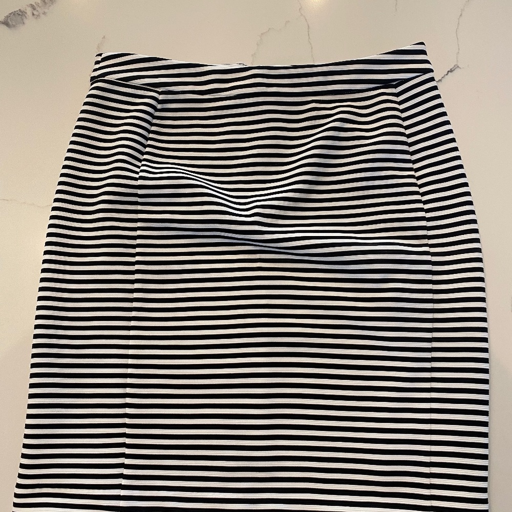 41 Hawthorn skirt